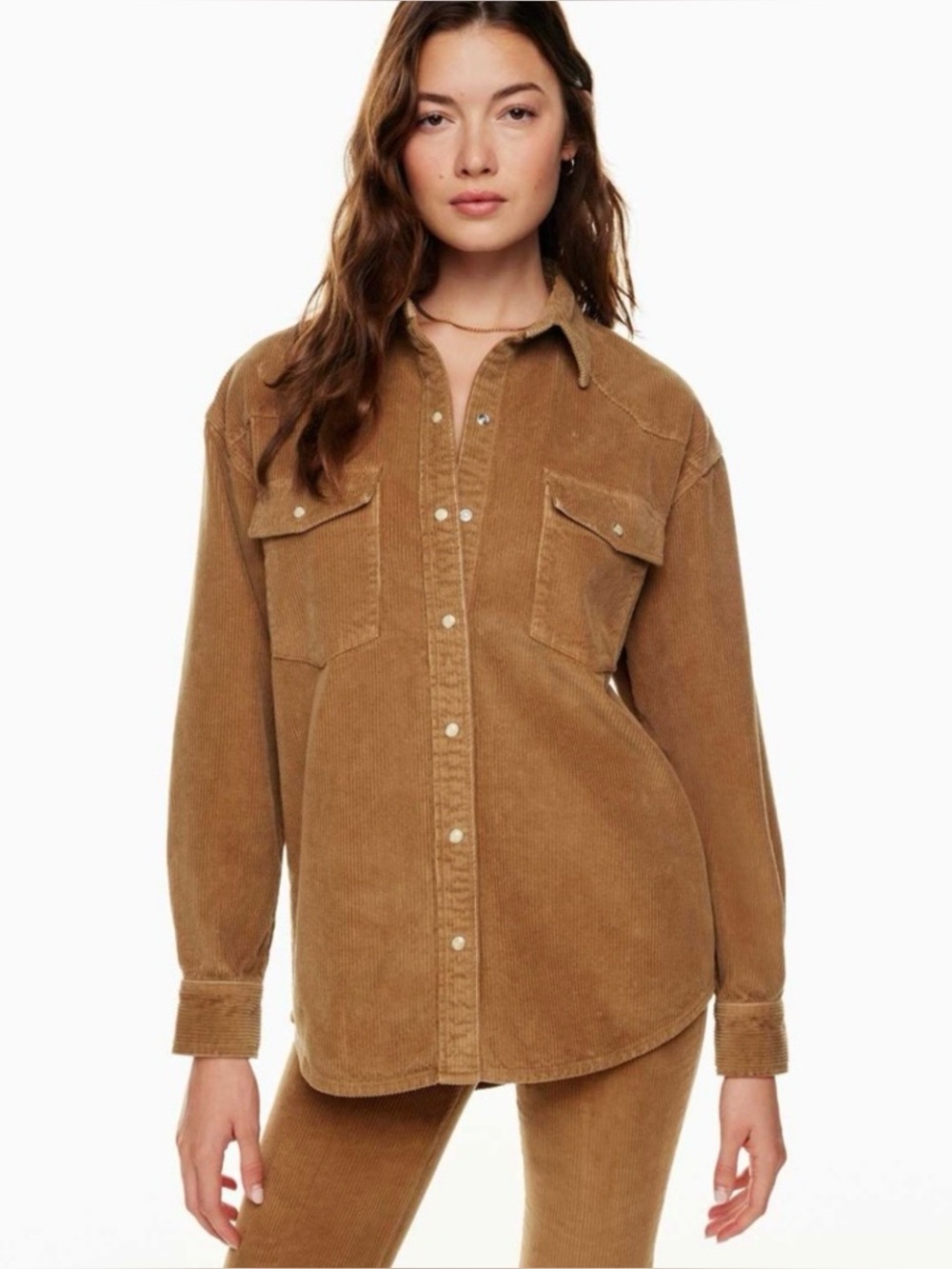 Aritzia Denim Forum Nina corduroy Western Shirt